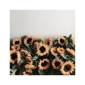 Meet your Posher, Mackenzie